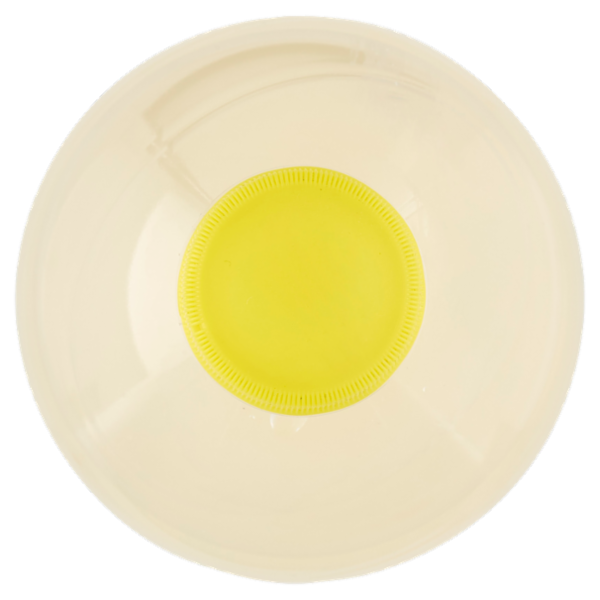 Consilia Pompelmo bibita gassata 1,5 L