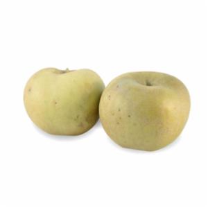 MELE RENETTE GRIGIE PIEMONTE