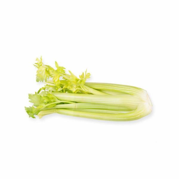 Sedano Verde Italia