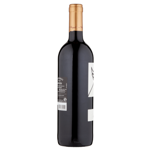 Volta degli Angeli Gutturnio D.O.C. Frizzante 0,75 l