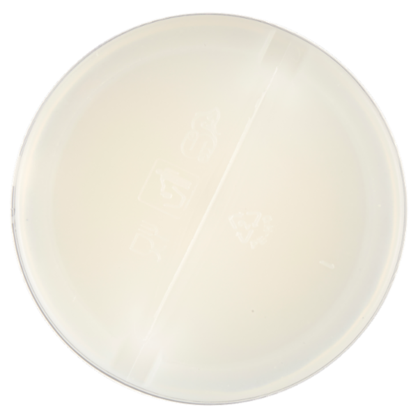 Fabbri mixy Fruit Cocco 1 L