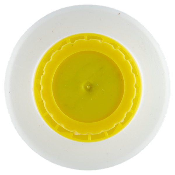 Selex Concime Liquido per Piante Grasse, Cactus e Bonsai 500 g