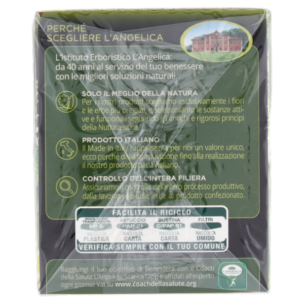 L'Angelica Japanese Ritual Tea Tè Gyokuro Aromatizzato Bergamotto Earl Grey 15 Filtri 22,5 g