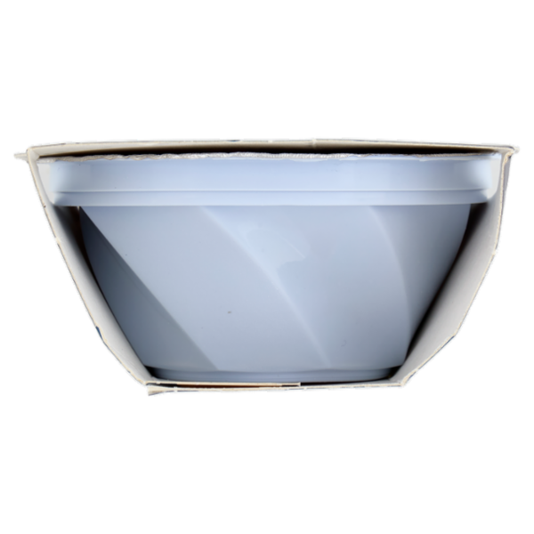 dolfin sensofreddo il sorbetto con succo di melograno e frutti di bosco 2 x 100 ml