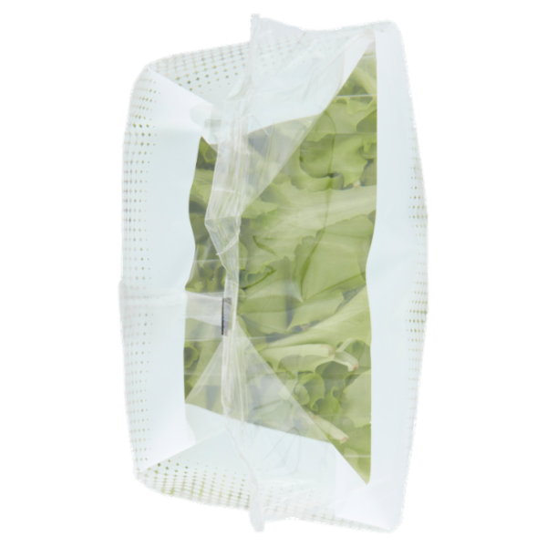 Insal'Arte Lattughino 100 g