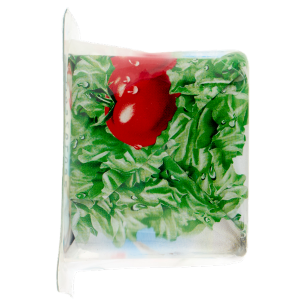 Nonno Nanni Robiola di Capra 100 g