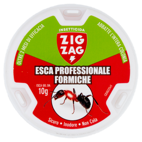Zig Zag Insetticida Esca Professionale Formiche 10 g
