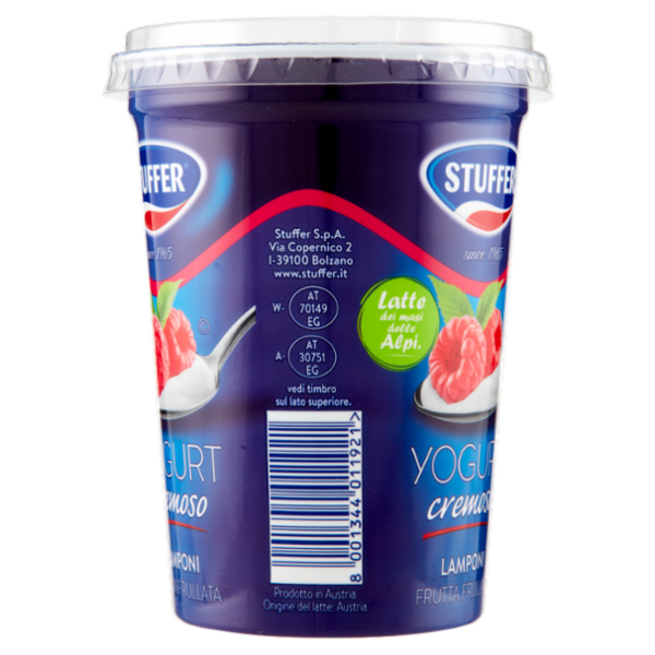 Stuffer Yogurt cremoso Lamponi Frutta Frullata 500 g