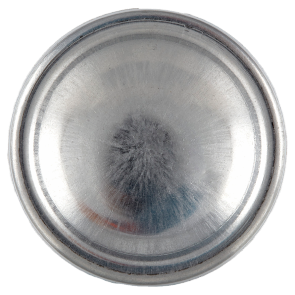 Giardino dei Sensi Avvolgente Muschio Bianco Profumo 100 ml