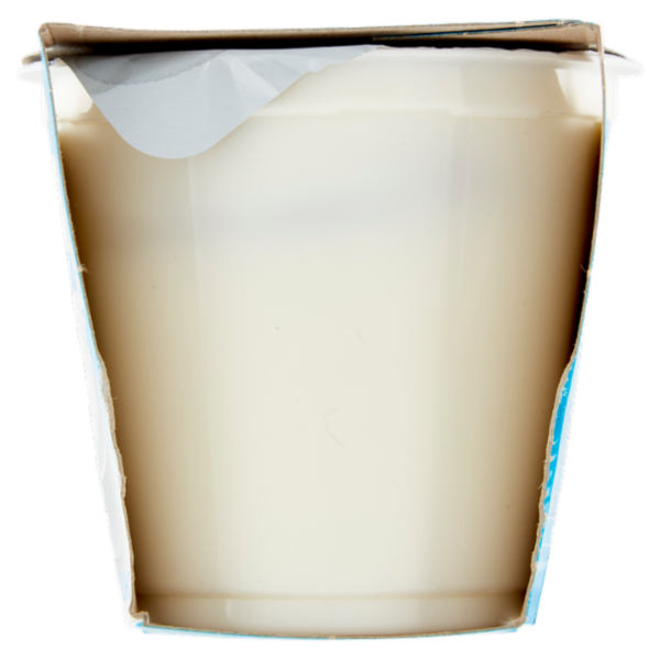 bella vita free Yogurt Magro Senza Lattosio Zero Grassi Bianco 2 x 125 g