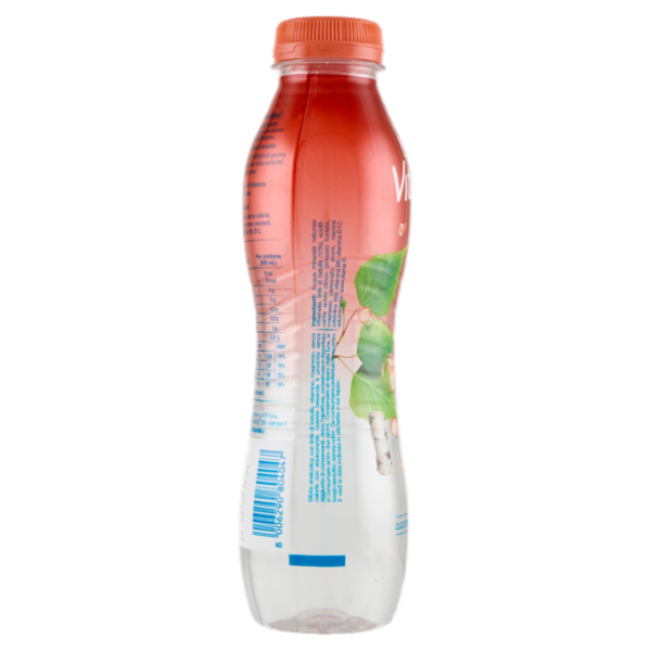 Vitasnella Le Linfe Drenante con Linfa di Betulla 500 mL