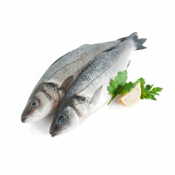 Spigola 800/1000 All. Grecia