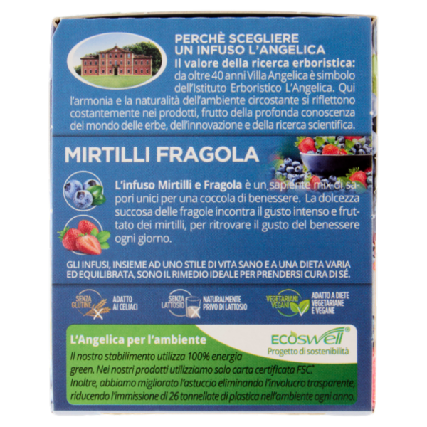 L'Angelica Passione di Frutta Mirtilli Fragola 15 Filtri 28.5 g