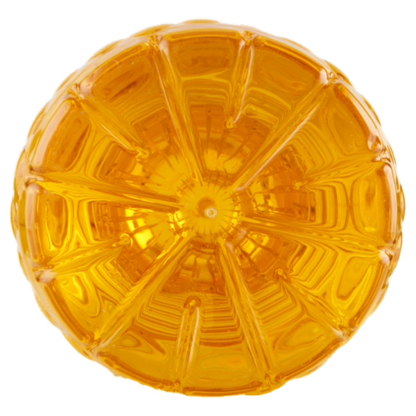 Sù Olio di Semi di Arachide 10 L