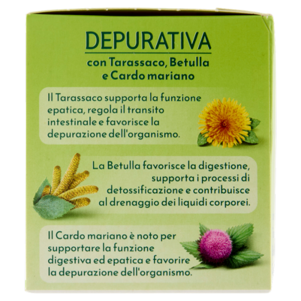 Bonomelli Depurativa Tisana per Infusione 16 Filtri 32 g