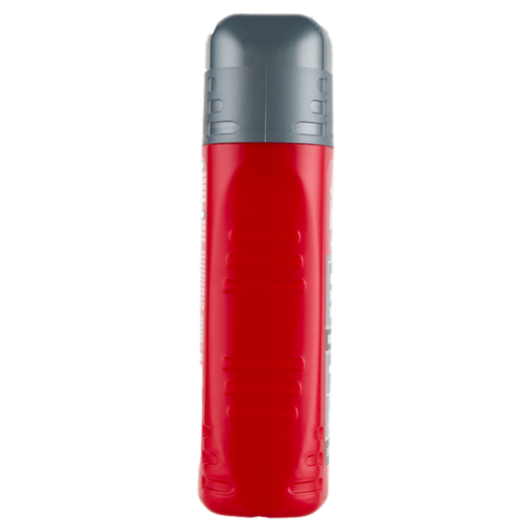 Intesa Pour Homme Gel Doccia Shampoo Rigenerante Essence Power 250 mL