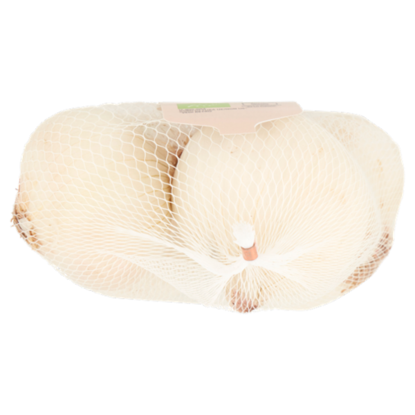 Consilia Cipolla Bianca Biologica 350 g