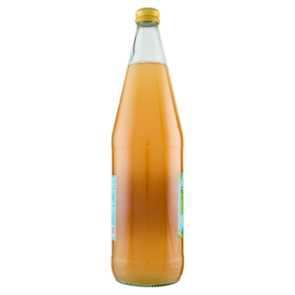 Eplì Collection i Sorsi Mela e Zenzero 1 L