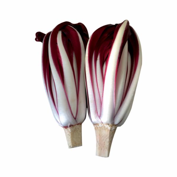 Radicchio rosso tardivo