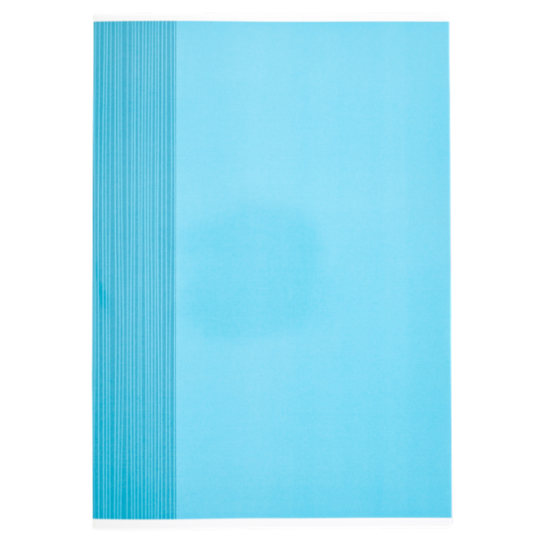 Selex Quaderno Maxi Formato A4 Fogli 40 Riga Unica