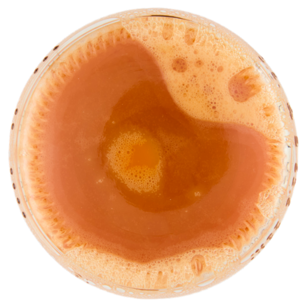 Pfanner Bio Karotte 0,5 l