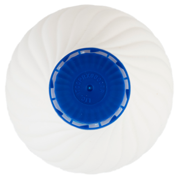 Consilia Candeggina Classica con Tappo Salvabimbo 1 L