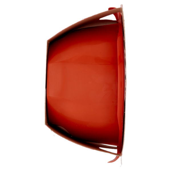 DimmidiSì le Zuppe fresche Pappa al Pomodoro 620 g