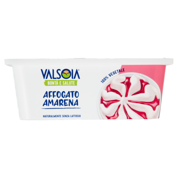 Valsoia Bontà e Salute Vaschetta Affogato Amarena 500 g