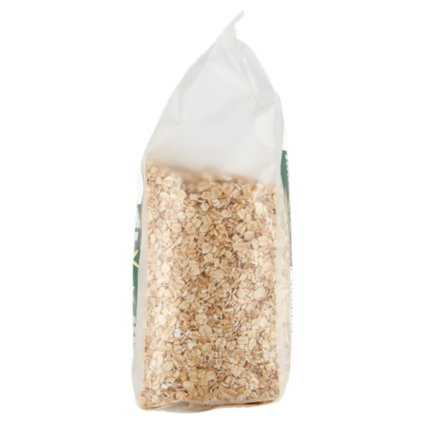 Stella Fiocchi di Avena Integrali Mignon Bio 500 g