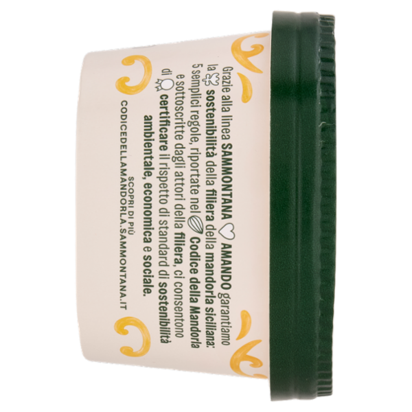 Sammontana Amando Gelato alla Vaniglia e Sorbetto al Mango con Variegatura al Mango 400 g