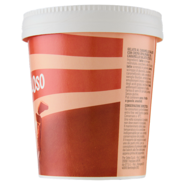 Selex Gelato al Caramello con Crema Spalmabile al Caramello Salato 230 g