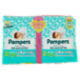 Pampers Baby-dry Mini 31+31 pz