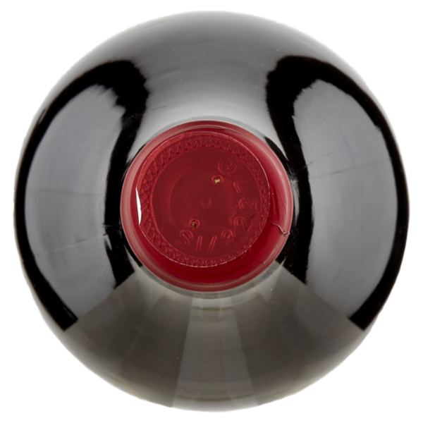 Fattoria il Palagio Vino Novello Toscana IGT 750 ml