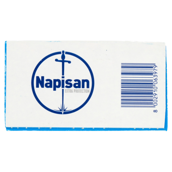 Napisan Additivo Polvere Disinfettante Battericida 500 gr