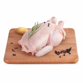 Pollo Busto Senza Antibiotici Naturachiama