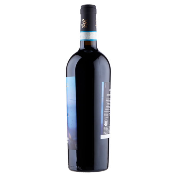 Brumale Montepulciano d'Abruzzo DOC 75 cl