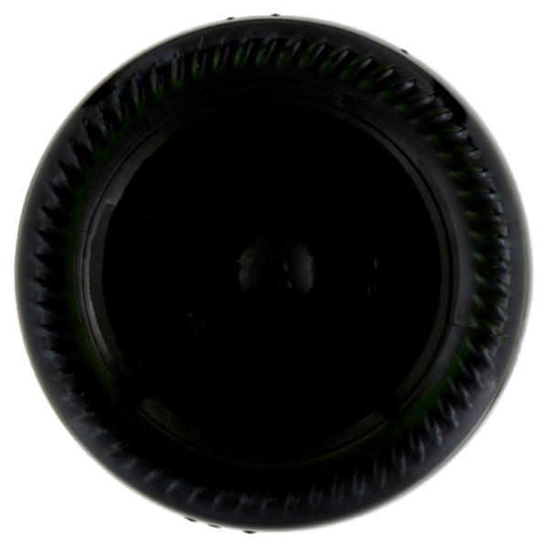 Cesarini Sforza Trento DOC le Premier Brut Metodo Classico 75 cl