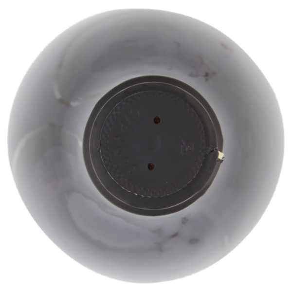 Righi Pignoletto Emilia-Romagna DOC Vino Frizzante Secco 750 ml