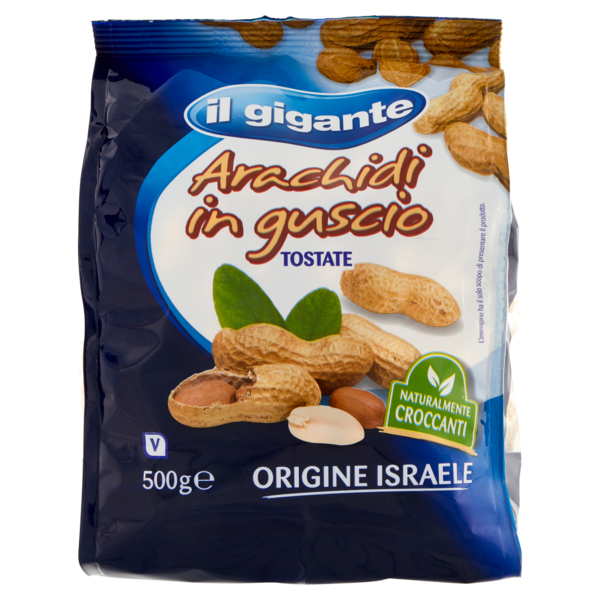 IL GIGANTE Arachidi in guscio Tostate 500 g