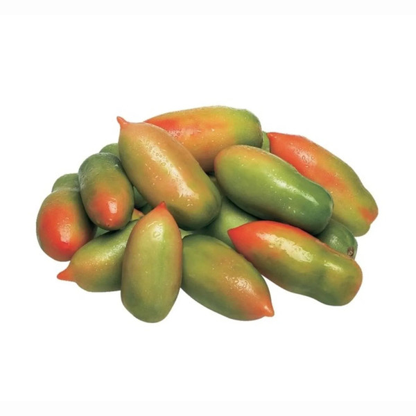 Pomodoro Oblungo Verde Spagna