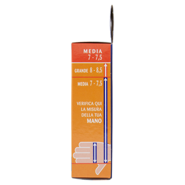IL GIGANTE Guanti Monouso in Lattice Media 7 - 7,5 20 Guanti