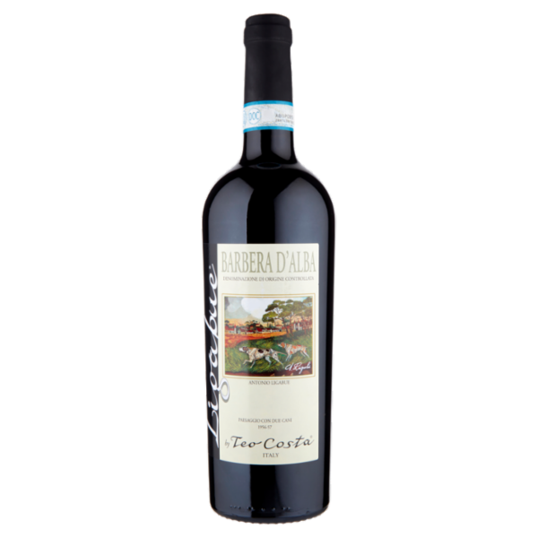 Ligabue Barbera d'Alba DOC 75 cl