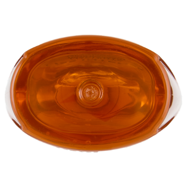 Elvive Liss Intense Shampoo Lisciante, per Capelli Secchi, Indisciplinati, 300 ml