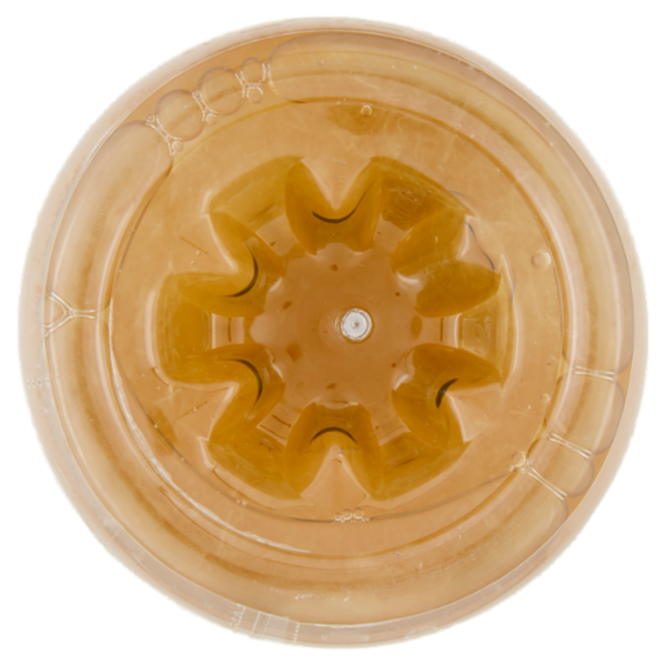 L'Angelica Aloe Vera Biologica 1 L