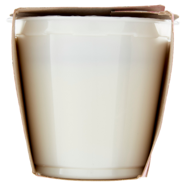 IL GIGANTE Yogurt Bianco Magro 2 x 125 g