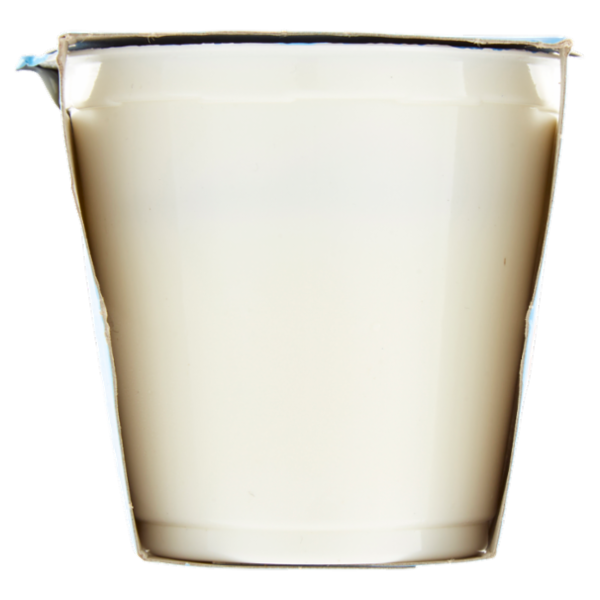 Selex Yogurt Magro Bianco 2x125 g