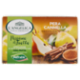 L'Angelica Passione di Frutta Pera Cannella 15 Filtri 27 g