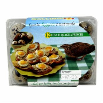Gallinovo Uova Di Quaglia X12