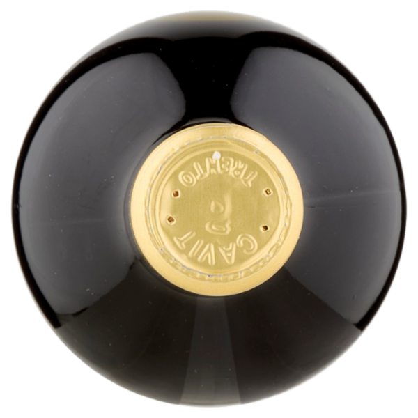 Cavit i Mastri Vernacoli Teroldego Rotaliano DOC 75 cl