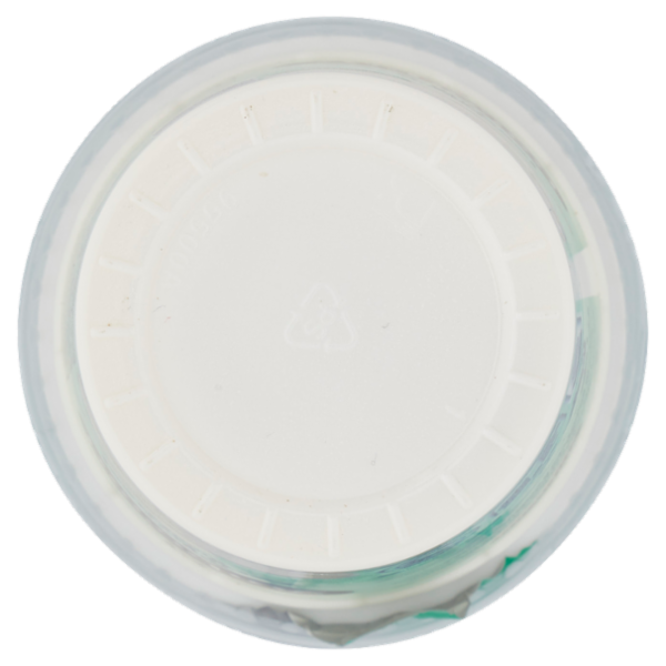 Arborea Yogurt Zero Grassi Bianco 500 g